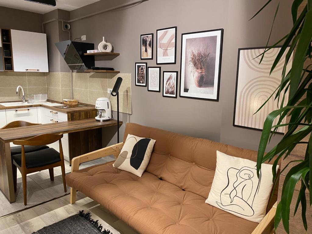 Shi Zi Junior Suite Iasi Extérieur photo