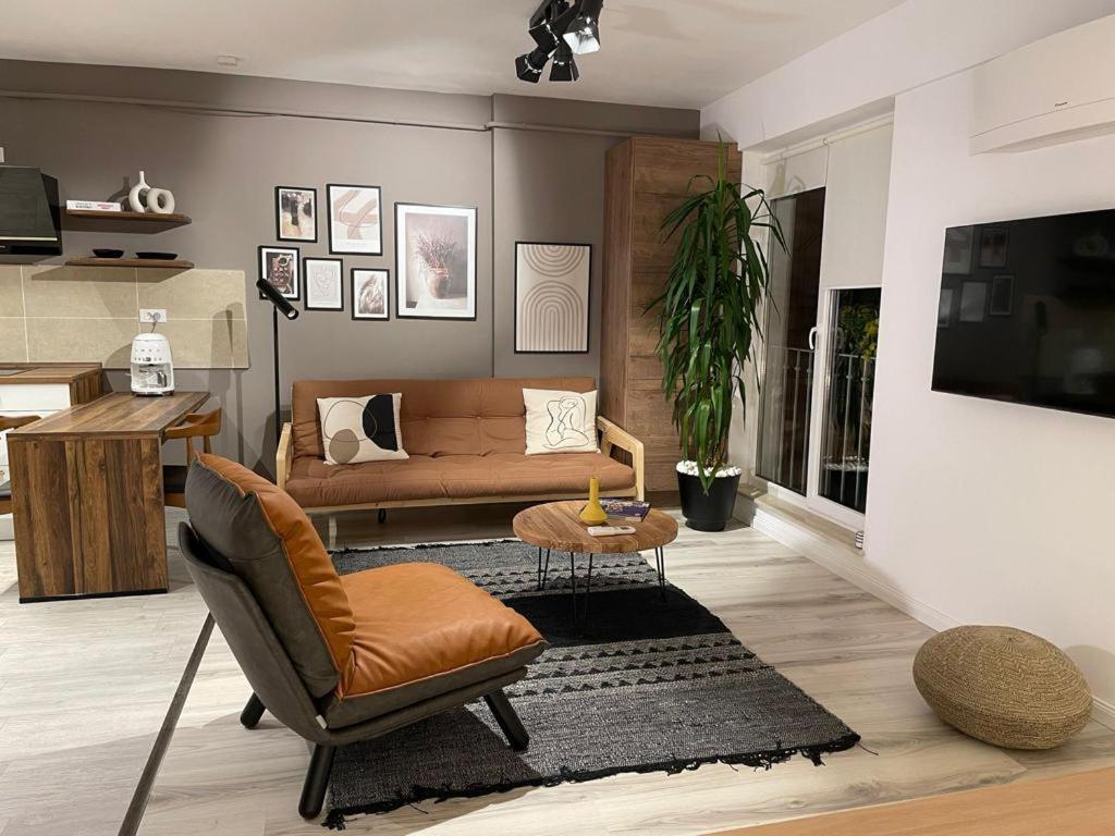 Shi Zi Junior Suite Iasi Extérieur photo
